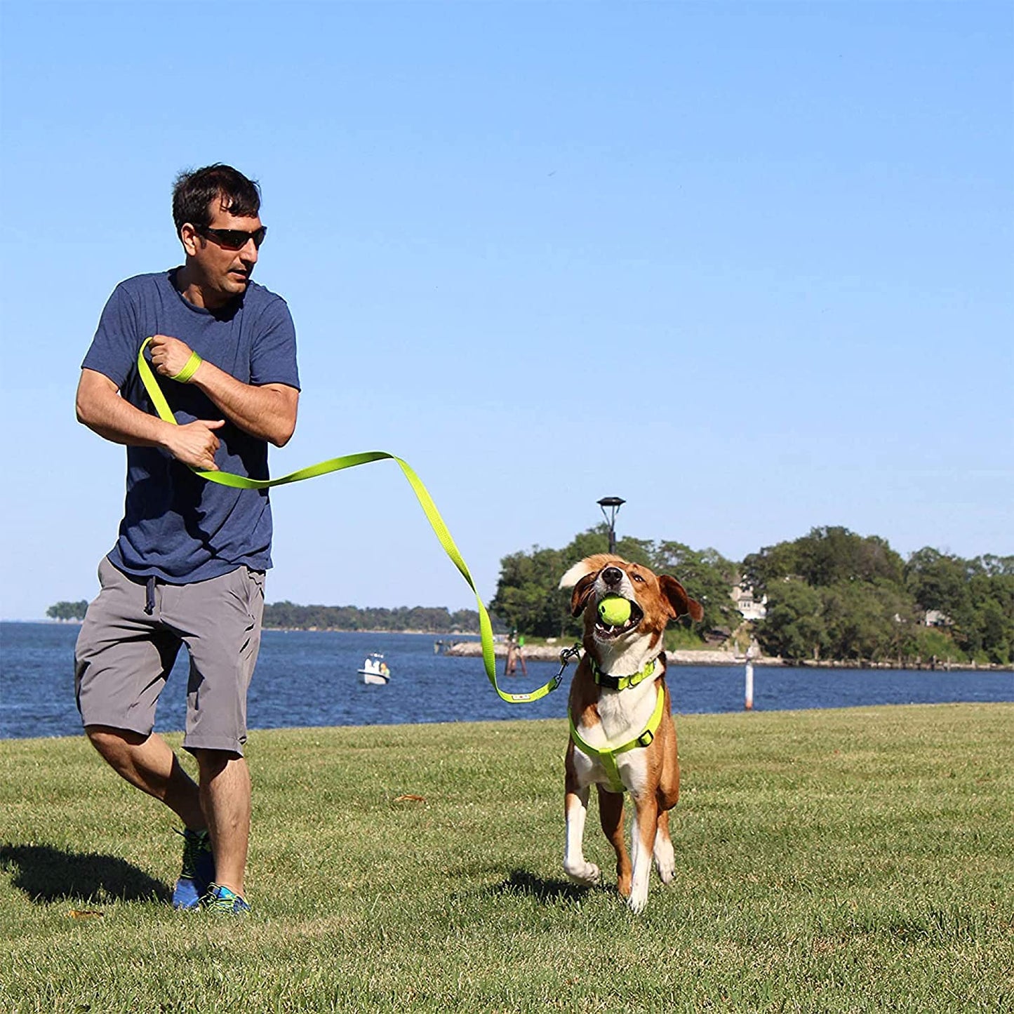 Solid Puppy Leash Dog Leash Dog Training Leash 6 Ft Dog Leash Behavioral Dog Leash Available in Extra Extra Small ( Miniature Dogs and Cats ) I Extra Small / Small and Medium / Large