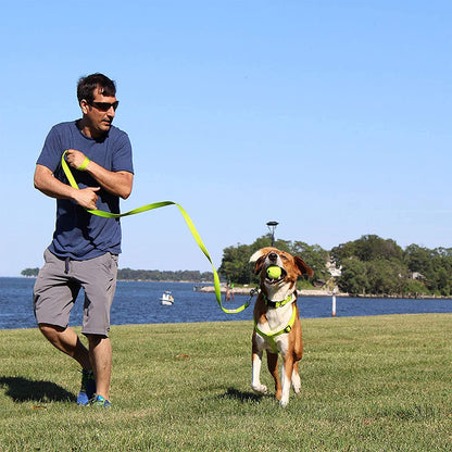 Solid Puppy Leash Dog Leash Dog Training Leash 6 Ft Dog Leash Behavioral Dog Leash Available in Extra Extra Small ( Miniature Dogs and Cats ) I Extra Small / Small and Medium / Large